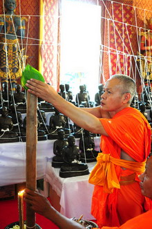 ภาพขยาย....